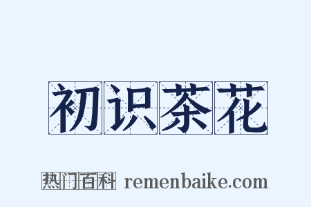 初识茶花是什么意思的图片